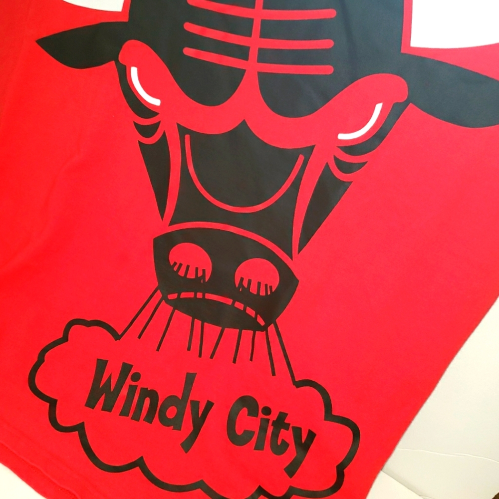 CHICAGO BULLS HEAVYWEIGHT TEE BY MITCHELL & NESS...LARGE LOGO